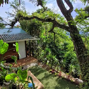 Apartamento En Zona 16
